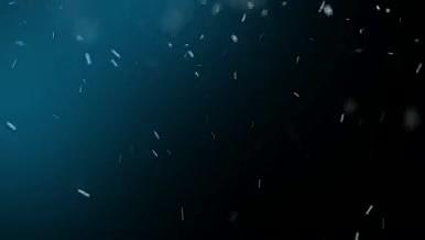 夜空中下雪雪花飘落带通道视频背景特效视频的预览图